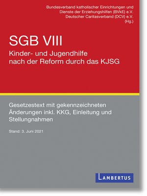 cover image of SGB VIII--Kinder- und Jugendhilfe nach der Reform durch das KJSG